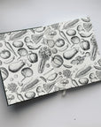 Paste down and front end paper image of green recipe book.