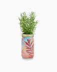 Herb Garden Jar | Rosemary