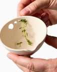 Peel, Grate & Prep Dish