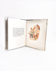 The Tale Of Peter Rabbit