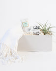 Light grey gift box containing a white pashmina, a mini tube of Tocca Giulietta hand cream, sea salt and lavender soap and small air plant.