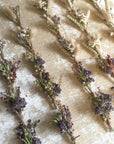 multiple dried floral bundles spaced out shown on a beige background