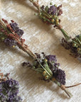 Lavender dried floral bundle, featuring five of them set against a cream background.