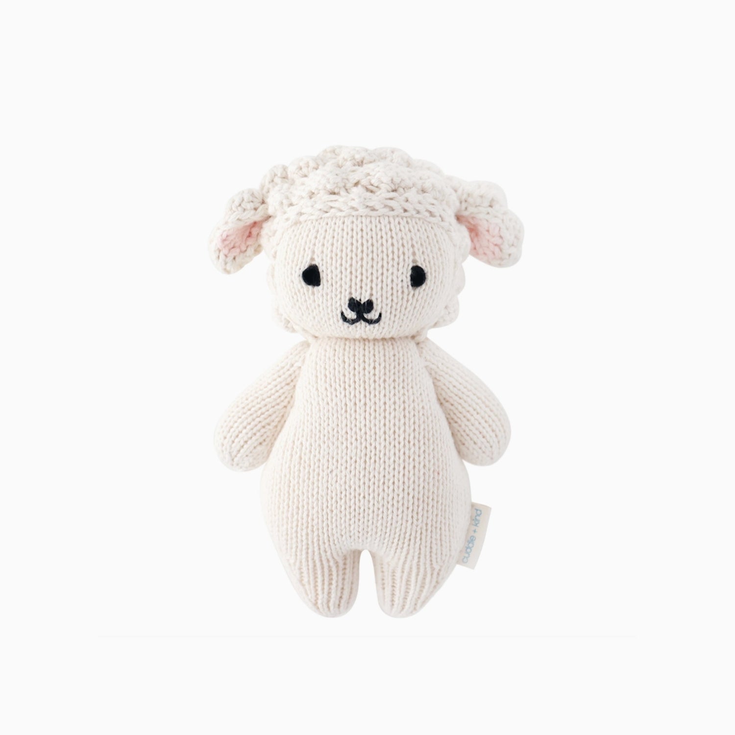 Cuddle + Kind baby lamb on a white background. 