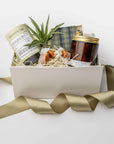 A white gift box with ivory paper shred and a green ribbon on a white background. Inside the box are a small live air plant with a care card, a mini tube of artisan jasmine green tea, a 4oz hand-poured soy candle in the scent Forest Chai, a matchbox of navy and green plaid-patterned matches, and three loose caramels — a thoughtful “Sending Thanks” gift box.