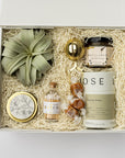 Green & Gold gift box: our signature white box filled with ivory shred, containing (from left to right) a large green air plant, a white tea candle in a gold tin with a white label featuring a black floral outline on the lid, a clear jar of white matchsticks with a cork lid, a gold tea infuser, three loose caramels, raw clover honey, and Dona Rising green loose leaf tea. Displayed on a white background with a green ribbon crossing behind the box.