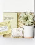 A top view of the Mindful Meditation Gift Box featuring a set of Mindful Affirmation Cards for Health & Wellbeing, a Tillandsia Xerographica live air plant, two green jasmine tea sachets, a 12 oz. speckled ceramic mug, and handcrafted Cape Cod sea salt caramels, all arranged in a white gift box with ivory shred and tied with a green ribbon on a white background.