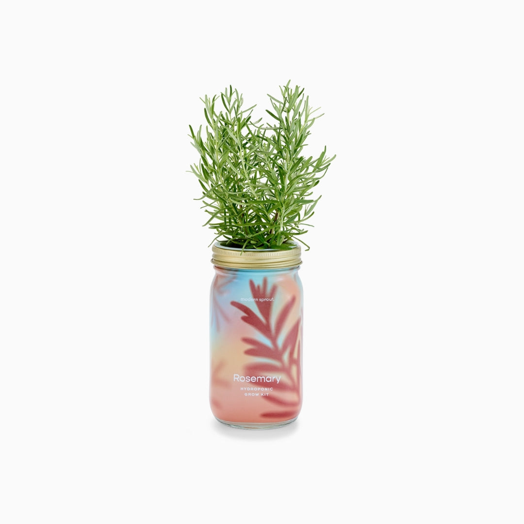 Herb Garden Jar | Rosemary