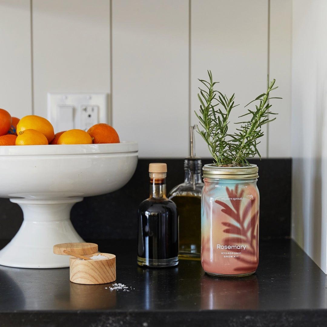 Herb Garden Jar | Rosemary