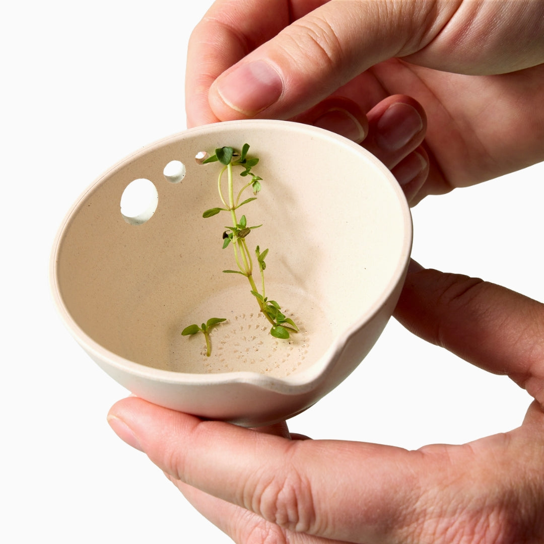 Peel, Grate &amp; Prep Dish