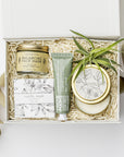 A white gift box with ivory paper shred and a green ribbon on a white background. Inside the box are a small live air plant, almond shea butter hand lotion, a vanilla musk bar soap, a matcha and green clay balancing face mask, and a 4oz hand-poured soy candle in the scent White Tea — a petite spa gift box designed for relaxation and self-care.