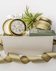 A white gift box with ivory paper shred and a green ribbon on a white background. Inside the box are a small live air plant, almond shea butter hand lotion, a vanilla musk bar soap, a matcha and green clay balancing face mask, and a 4oz hand-poured soy candle in the scent White Tea — a petite spa gift box designed for relaxation and self-care.