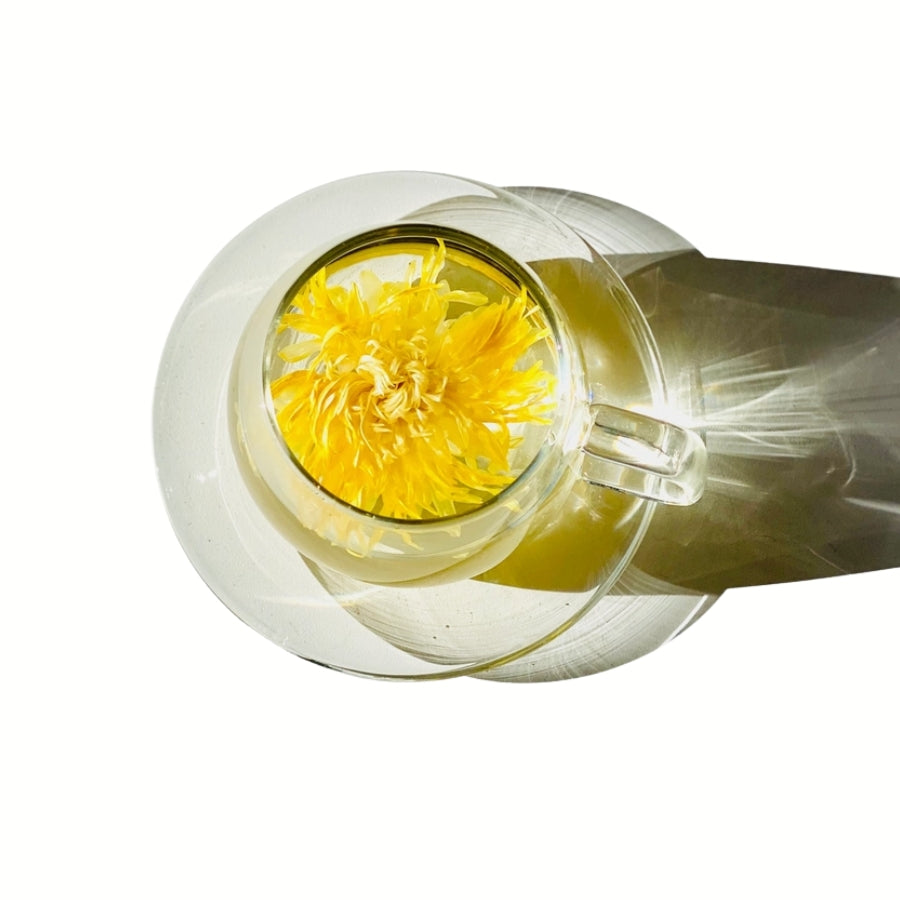 Royal Chrysanthemum flower tea in a glass tea mug on a white background, premium herbal tea.