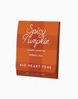 A package of Big Heart Teas Spicy Pumpkin herbal tea, shown at an angle on a clean white background. The packaging features a warm orange and red plaid pattern with white text.