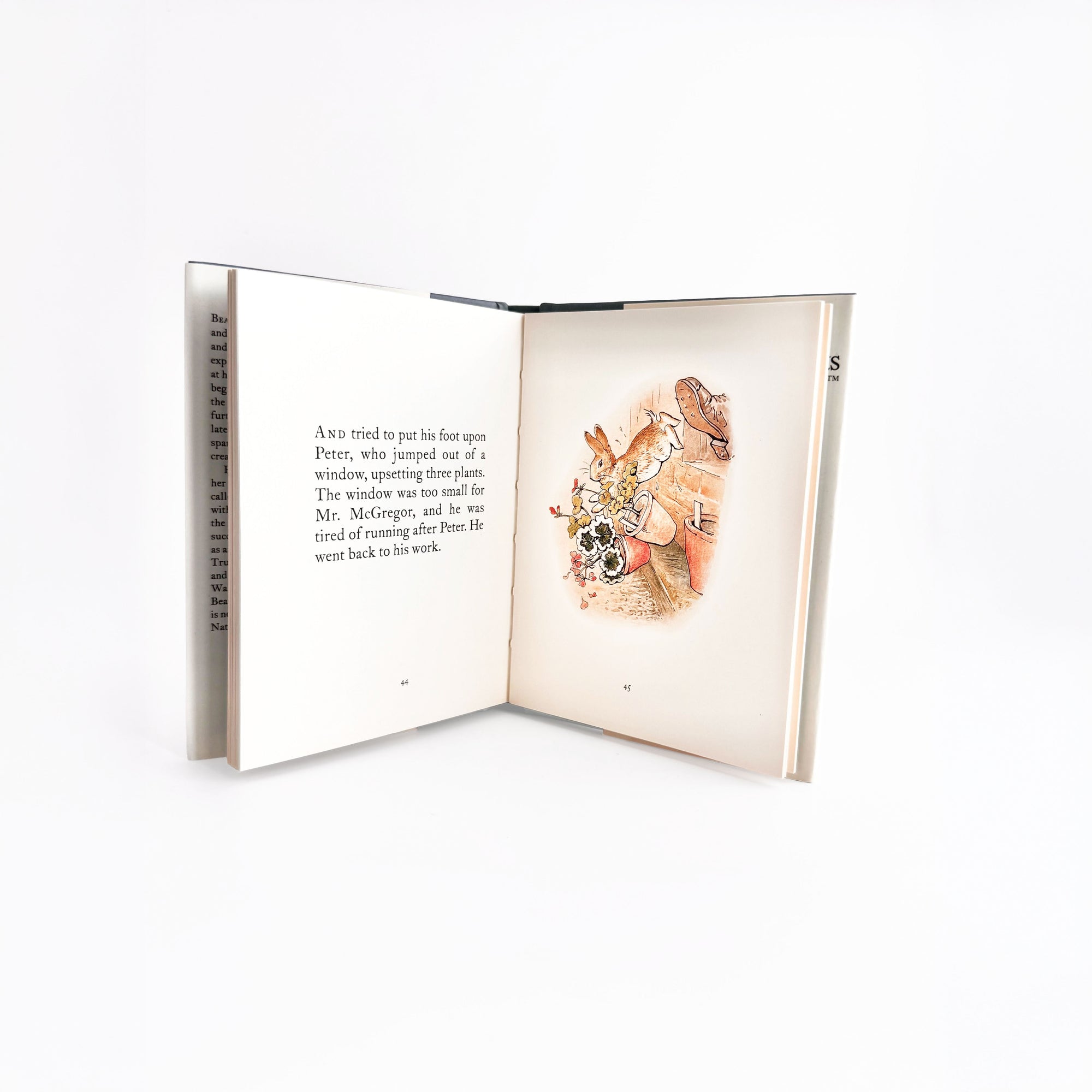 The Tale of Peter Rabbit hardcover children’s book shown open on a clean white background, displaying illustrated interior pages with classic storybook artwork and text spread across both pages.