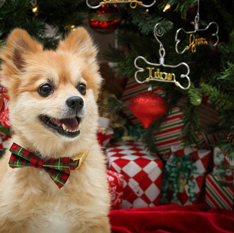 Personalized Dog Ornaments, holiday pet gifts, dog bone ornament, dog lover gifts, unique pet gift